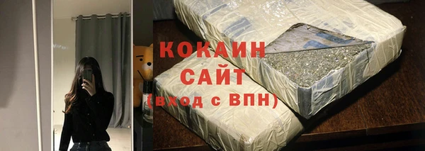 кокс Елизово