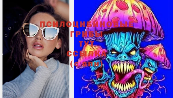 каннабис Ельня