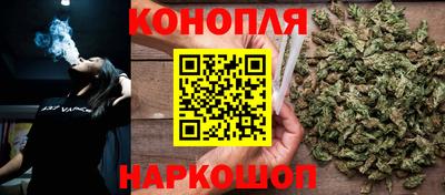 индика Беслан