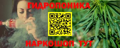 индика Беслан