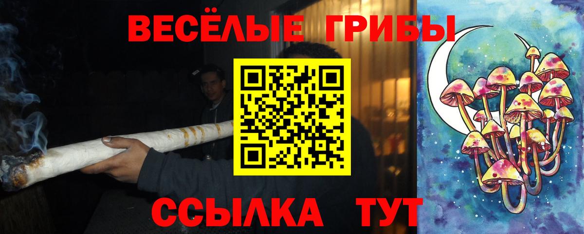 Мыски  Галлюциногенные грибы Magic Shrooms  Вход с VPN 